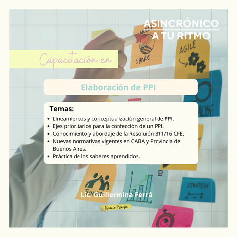 Elaboración de PPI