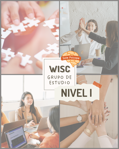 WISC - Grupo de estudio - Nivel I