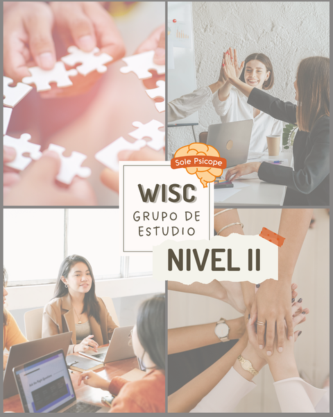 WISC - Grupo de estudio - Nivel II