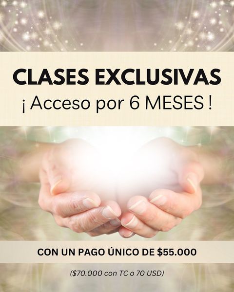 CLASES EXCLUSIVAS POR 6 MESES (PAGO ÚNICO de $55.000 x TRANSFERENCIA)