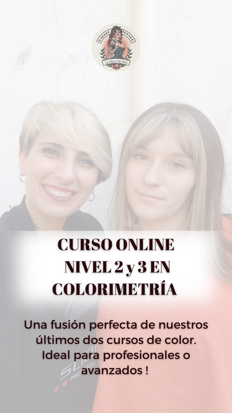 Curso intensivo de color: NIVEL 2 Y 3