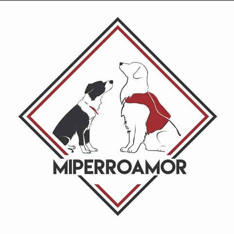 Miperroamor