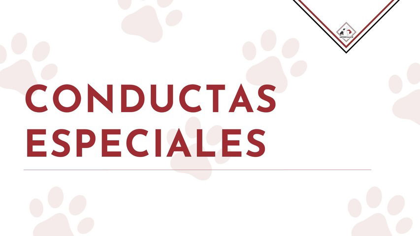 Clase 5 - Conductas especiales y encadenadas