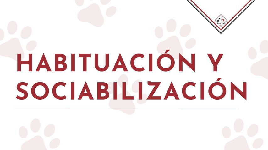 Clase 1 - Habituación y Sociabilización