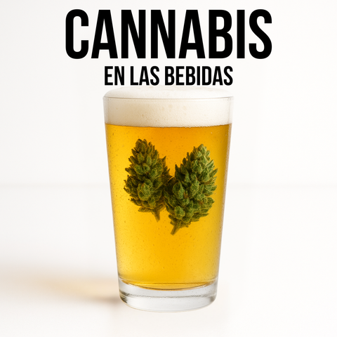 Cannabis en las producción de bebidas