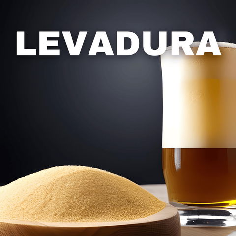 Re-utilización y propagación de levaduras