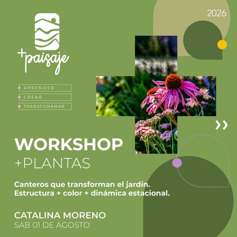 Workshop + PLANTAS