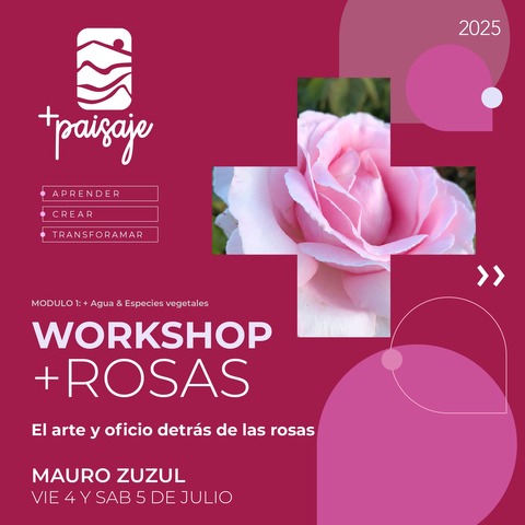 Workshop + Rosas. 