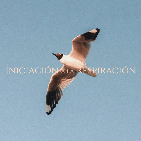 Iniciación a la Respiración