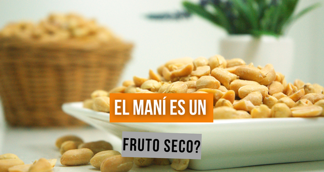 ¿El maní es un fruto seco?