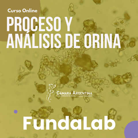 Orina Completa - Análisis y Proceso