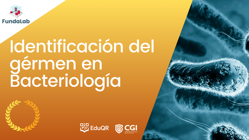 Identificación del Gérmen en Bacteriología