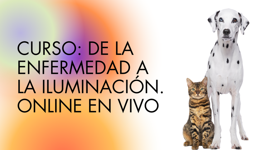 Curso: De la enfermedad a la iluminación. Online en vivo