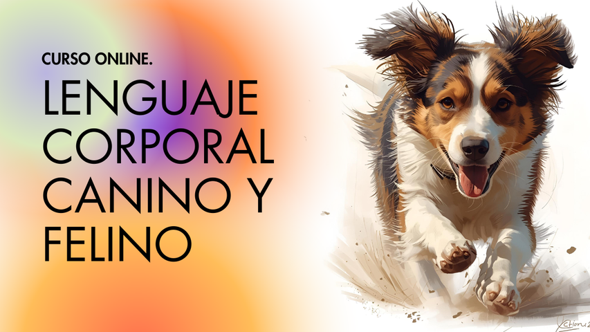 Lenguaje corporal canino y felino