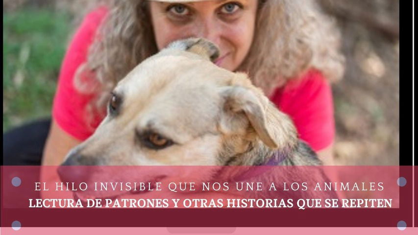 El hilo invisible que nos une a los animales. Lectura de patrones y otras historias que se repiten