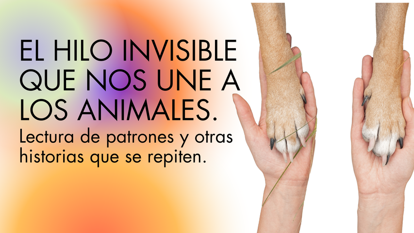 El hilo invisible que nos une a los animales. Lectura de patrones y otras historias que se repiten