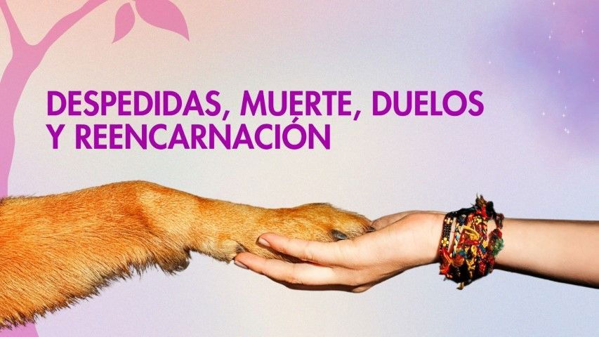 Despedidas, duelo, muerte y reencarnación de animales