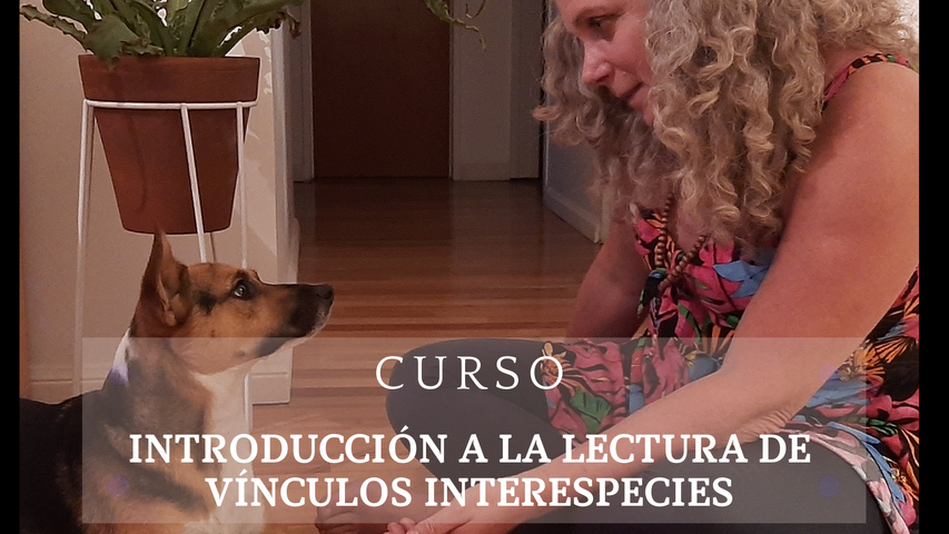 Introducción a la lectura de vínculos interespecies