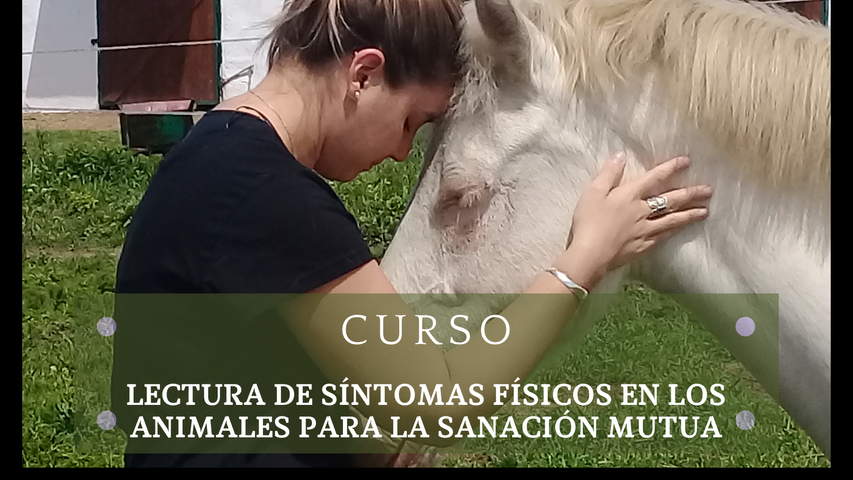 Lectura de síntomas físicos para la sanación mutua animal-humano