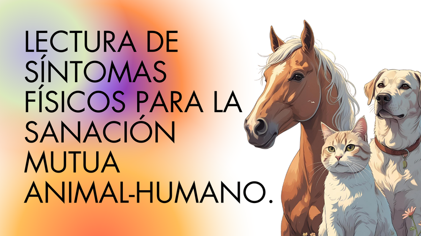 Lectura de síntomas físicos para la sanación mutua animal-humano