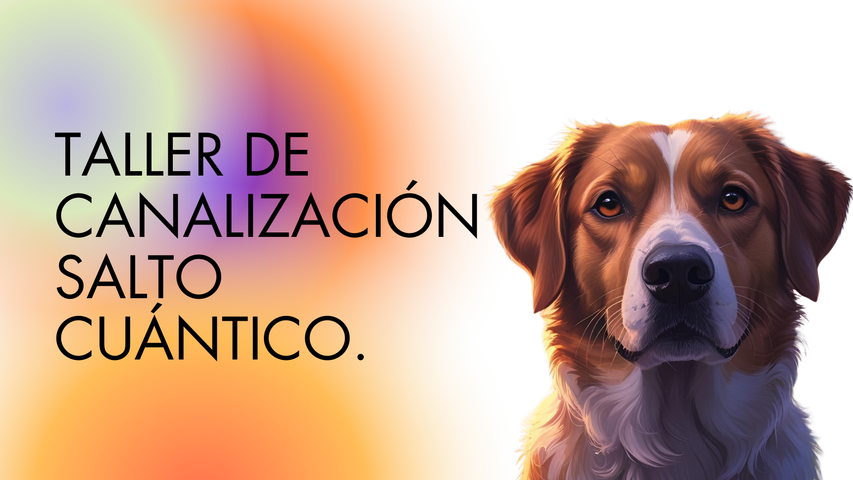 Taller de Canalización Salto Cuántico. 