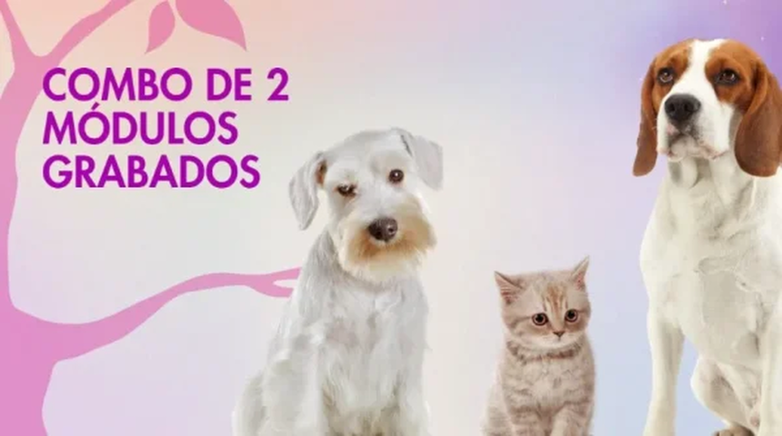  Senderos de autoconocimiento con la guía de los animales no humanos - Escuchar con el corazón - Duelos