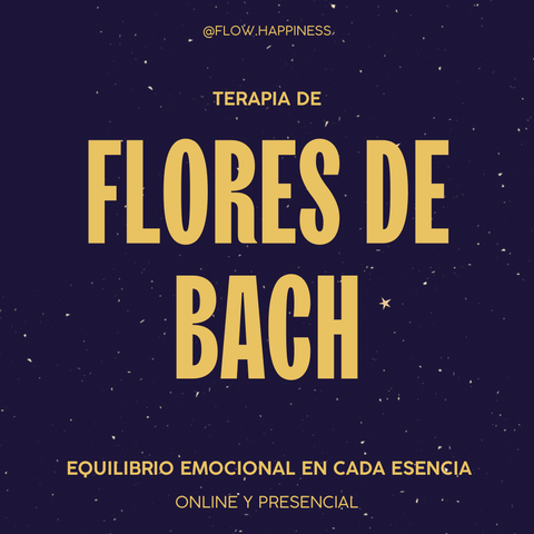 Sesión Privada para Atravesar tus Emociones y Volver a la Calma ~ 40’ Online (consultar Presencial)