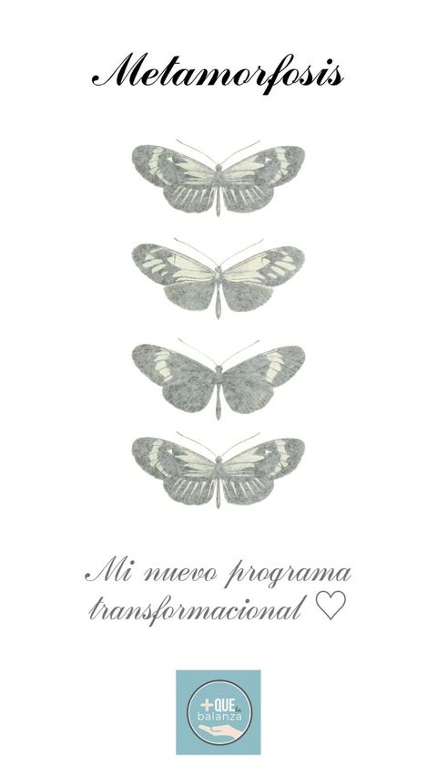 METAMORFOSIS