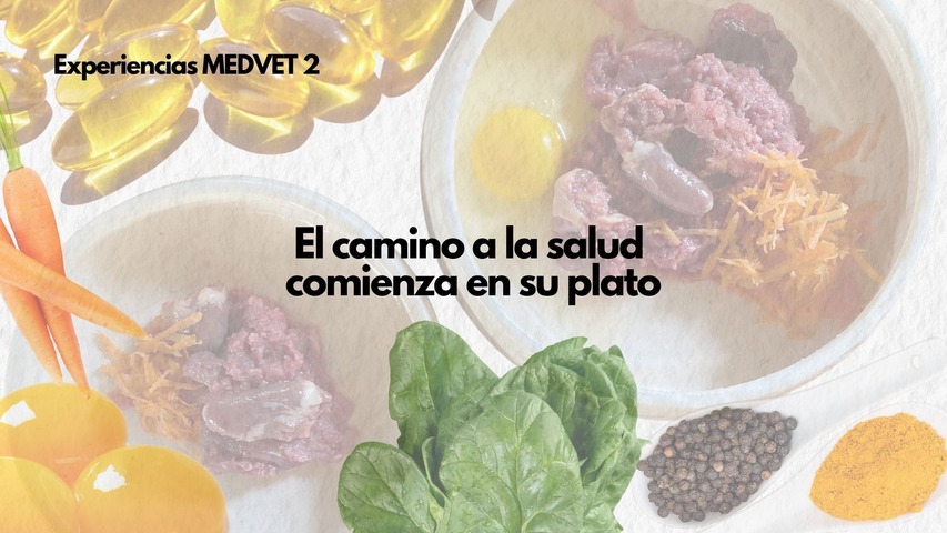 Experiencia MEDVET 2 – El camino a la salud comienza en su plato