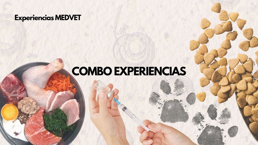Combo EXPERIENCIAS