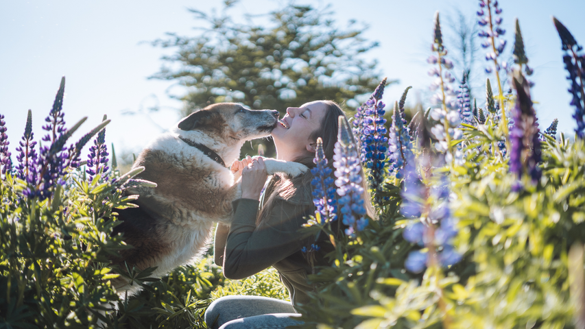 Formación integral en medicina veterinaria preventiva