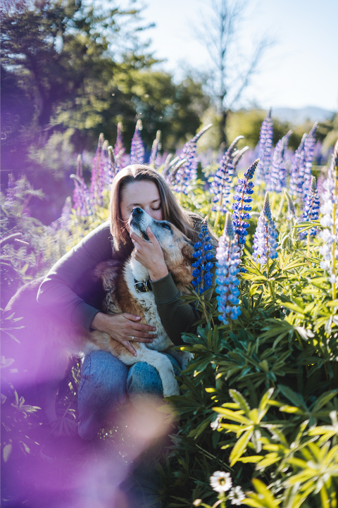 2da Ed. Formación integral en medicina veterinaria preventiva
