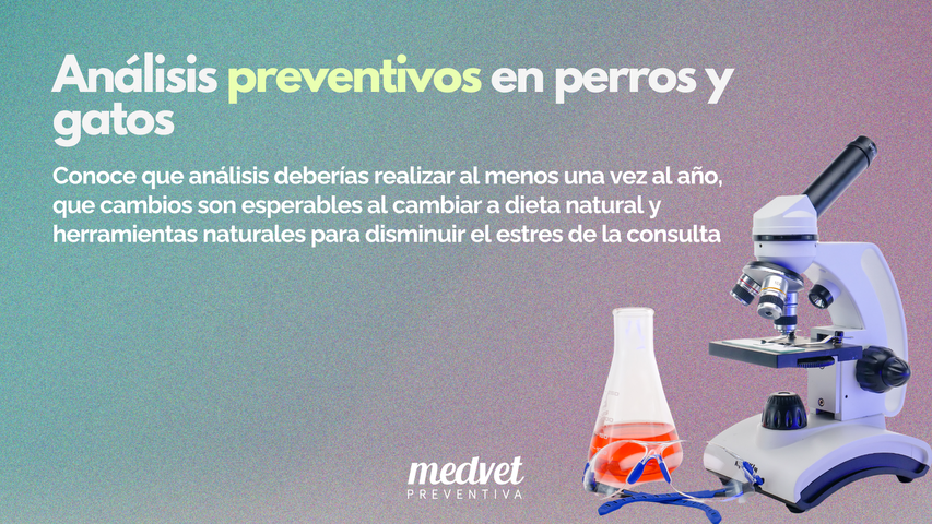 Análisis preventivos en perros y gatos 