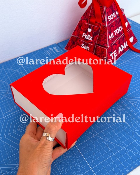 CLASES EN VIVO (GRABACIONES)