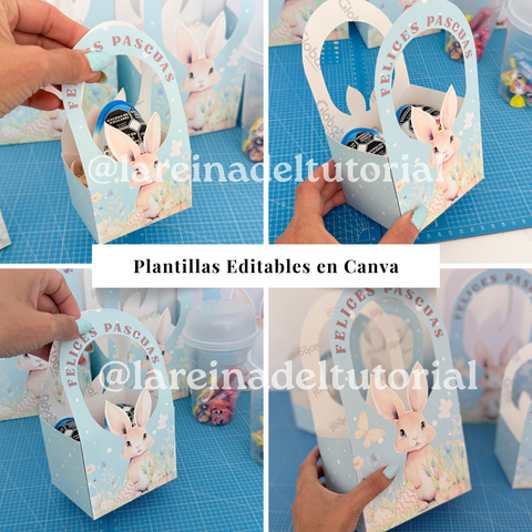 KIT PACKAGING BOLSA/CANASTA