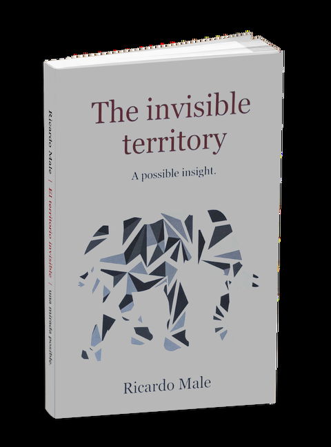 The Invisible Territory - 1er edición - Versión Inglés