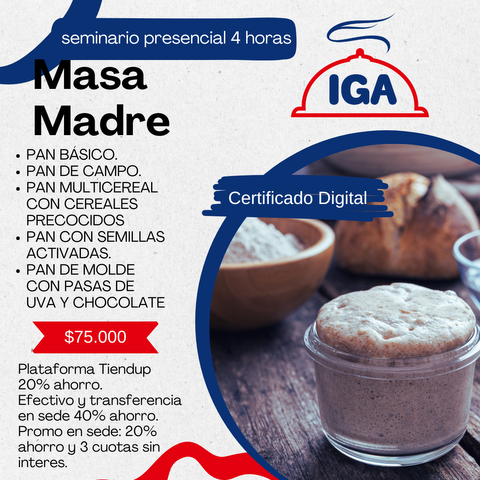 SEMINARIO PRESENCIAL MASA MADRE VICENTE LOPEZ