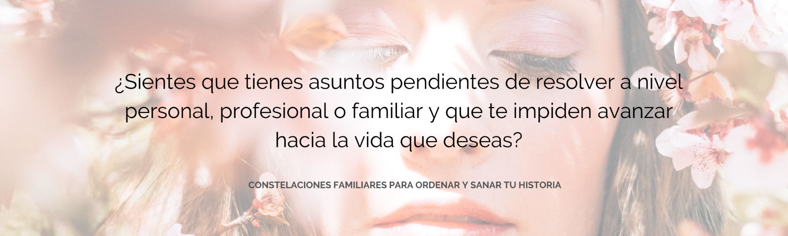 Constelaciones familiares