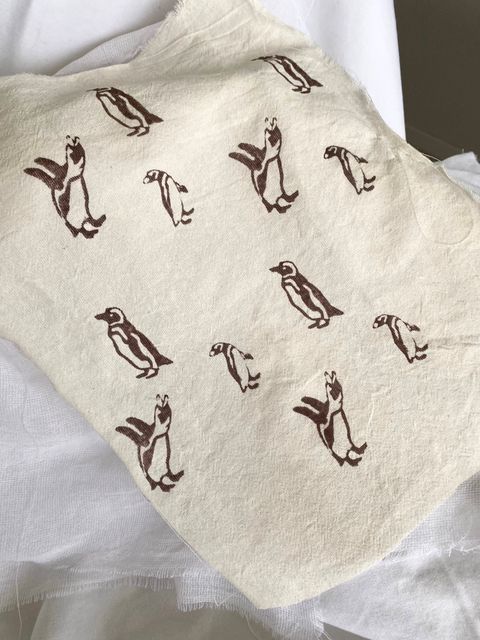 Pingüinos de Magallanes 