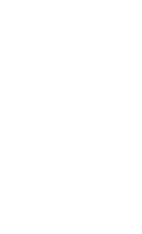 Vanitybreak