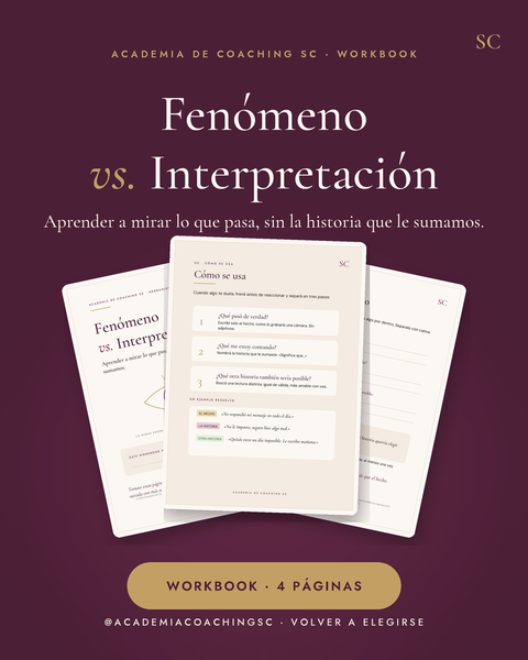 Workbook: Fenómeno vs. Interpretación