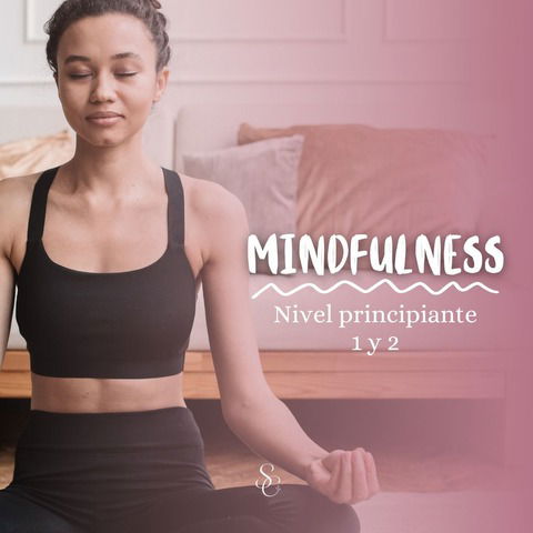 MINDFULNESS- NIVEL 1 Y 2- PRINCIPIANTE