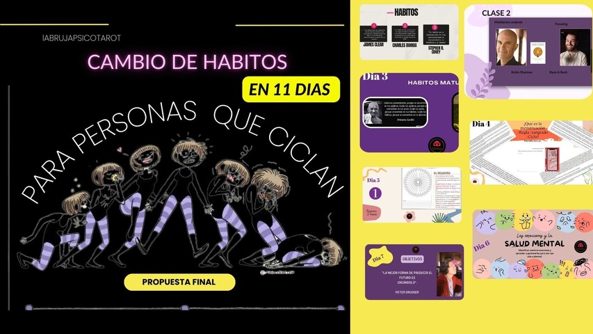 Programa de Cambio de habitos combo lanzamiento