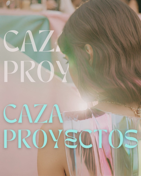 CAZA PROYECTOS