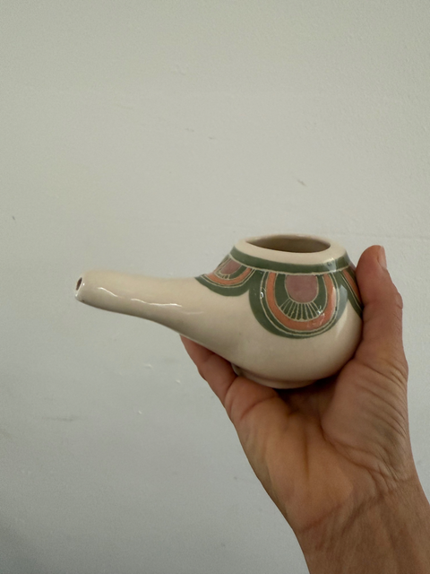 Taller de Jala Neti ( lavado nasal)