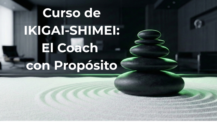 Workbook curso de IKIGAI-SHIMEI
