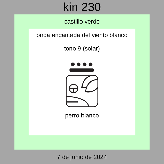 Kin 230 - Perro Solar Blanco