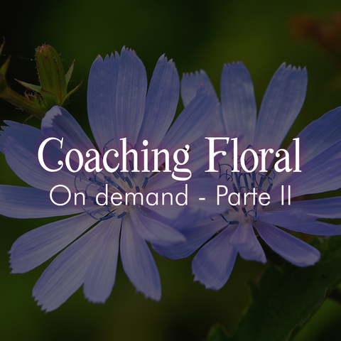 COACHING FLORAL ON DEMAND - PARTE II