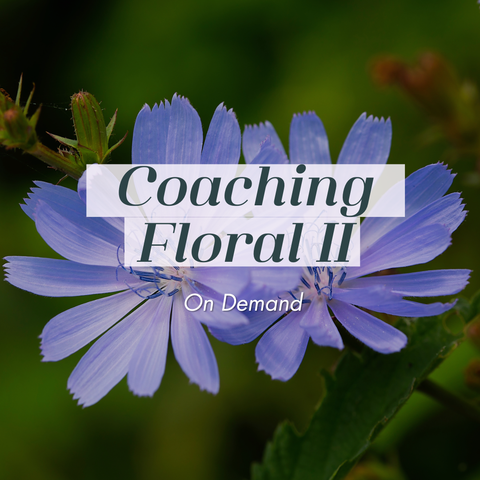 COACHING FLORAL ON DEMAND - PARTE II