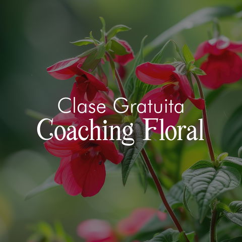 CLASE GRATUITA COACHING FLORAL